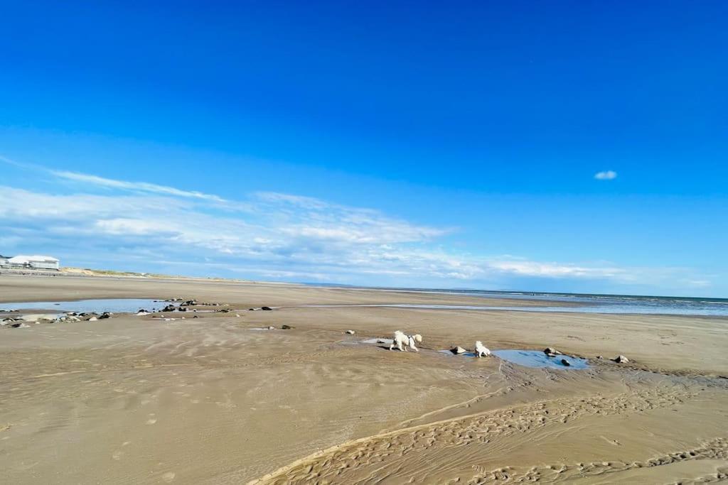 2 Bedroom Holiday Home In The Heart Of West Wales Сент-Кліарз Екстер'єр фото